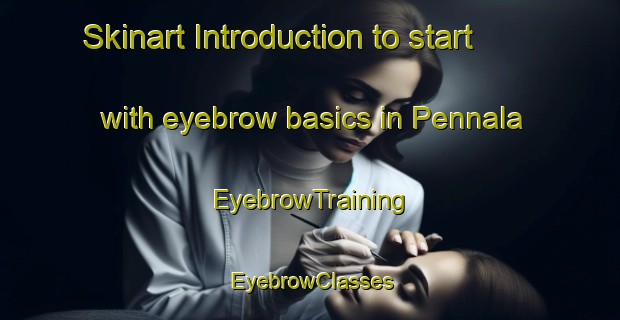 Skinart Introduction to start with eyebrow basics in Pennala | EyebrowTraining | EyebrowClasses | SkinartTraining-Finland