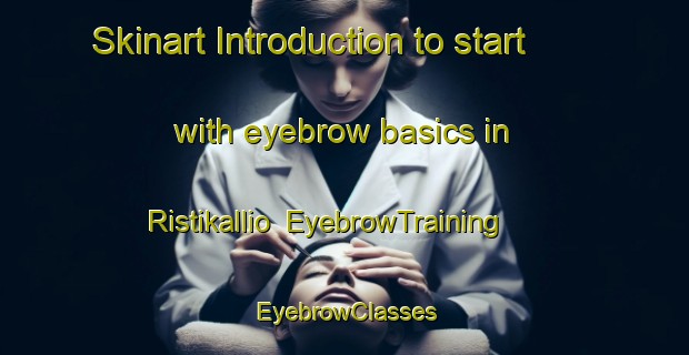 Skinart Introduction to start with eyebrow basics in Ristikallio | EyebrowTraining | EyebrowClasses | SkinartTraining-Finland