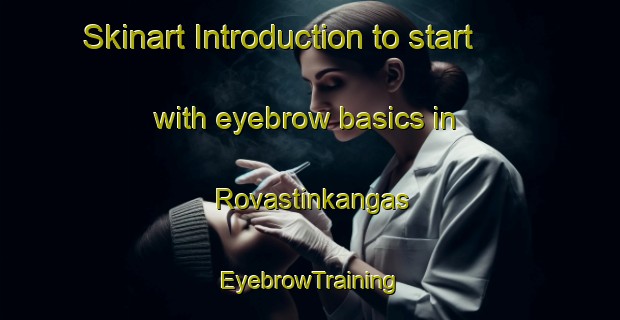 Skinart Introduction to start with eyebrow basics in Rovastinkangas | EyebrowTraining | EyebrowClasses | SkinartTraining-Finland