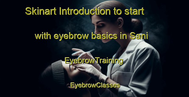 Skinart Introduction to start with eyebrow basics in Sani | EyebrowTraining | EyebrowClasses | SkinartTraining-Finland