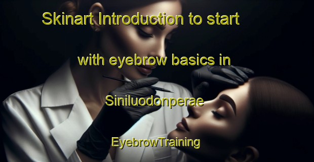 Skinart Introduction to start with eyebrow basics in Siniluodonperae | EyebrowTraining | EyebrowClasses | SkinartTraining-Finland