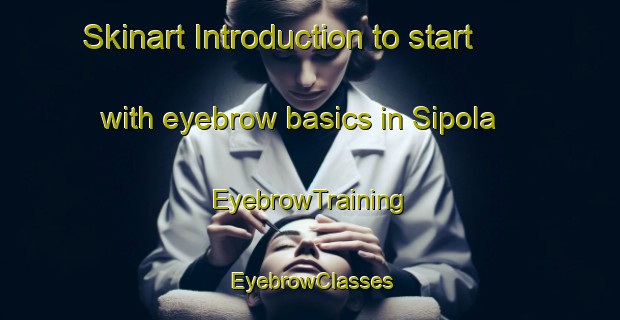 Skinart Introduction to start with eyebrow basics in Sipola | EyebrowTraining | EyebrowClasses | SkinartTraining-Finland