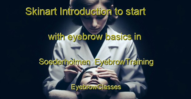 Skinart Introduction to start with eyebrow basics in Soederholmen | EyebrowTraining | EyebrowClasses | SkinartTraining-Finland