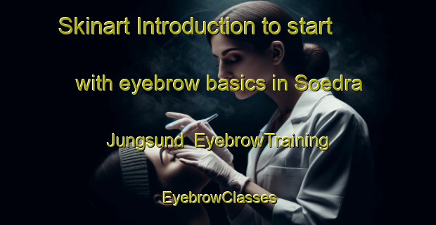 Skinart Introduction to start with eyebrow basics in Soedra Jungsund | EyebrowTraining | EyebrowClasses | SkinartTraining-Finland