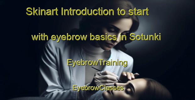 Skinart Introduction to start with eyebrow basics in Sotunki | EyebrowTraining | EyebrowClasses | SkinartTraining-Finland