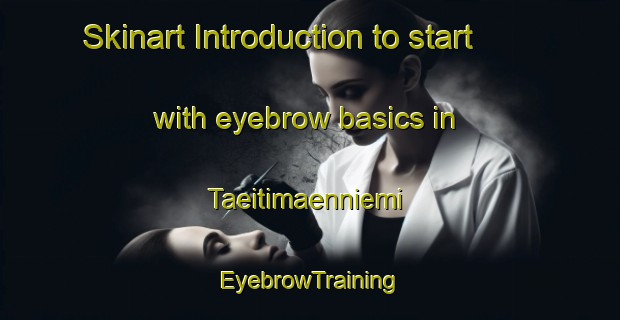 Skinart Introduction to start with eyebrow basics in Taeitimaenniemi | EyebrowTraining | EyebrowClasses | SkinartTraining-Finland