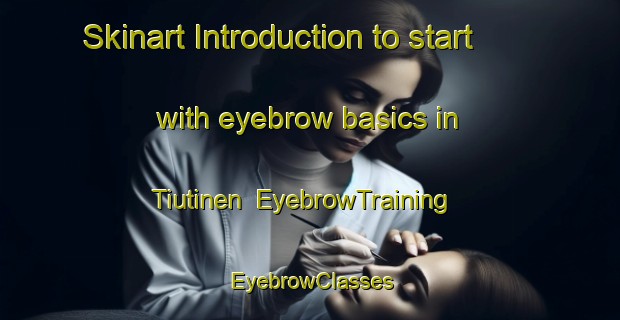 Skinart Introduction to start with eyebrow basics in Tiutinen | EyebrowTraining | EyebrowClasses | SkinartTraining-Finland