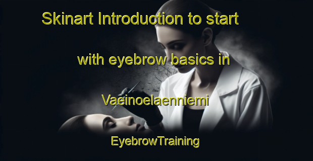 Skinart Introduction to start with eyebrow basics in Vaeinoelaenniemi | EyebrowTraining | EyebrowClasses | SkinartTraining-Finland