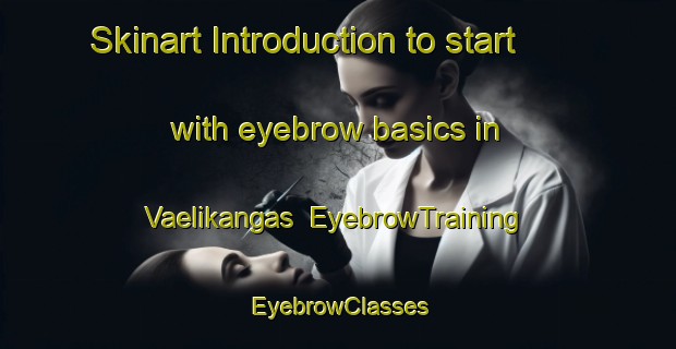 Skinart Introduction to start with eyebrow basics in Vaelikangas | EyebrowTraining | EyebrowClasses | SkinartTraining-Finland
