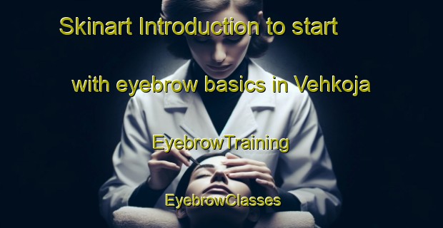 Skinart Introduction to start with eyebrow basics in Vehkoja | EyebrowTraining | EyebrowClasses | SkinartTraining-Finland