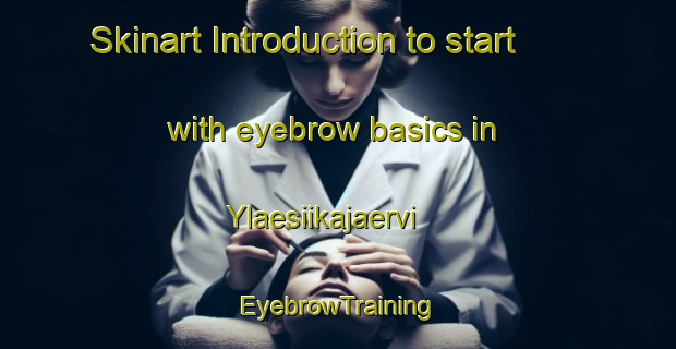 Skinart Introduction to start with eyebrow basics in Ylaesiikajaervi | EyebrowTraining | EyebrowClasses | SkinartTraining-Finland