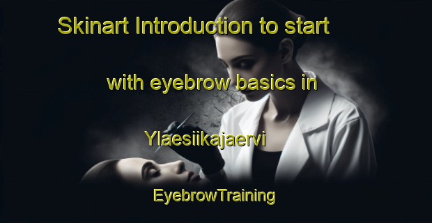 Skinart Introduction to start with eyebrow basics in Ylaesiikajaervi | EyebrowTraining | EyebrowClasses | SkinartTraining-Finland