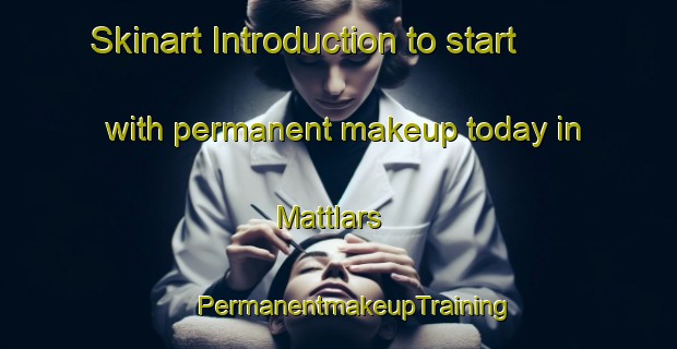 Skinart Introduction to start with permanent makeup today in Mattlars | #PermanentmakeupTraining #PermanentmakeupClasses #SkinartTraining-Finland