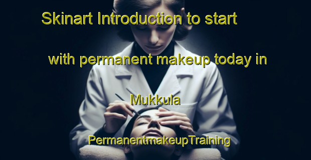 Skinart Introduction to start with permanent makeup today in Mukkula | PermanentmakeupTraining | PermanentmakeupClasses | SkinartTraining-Finland