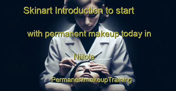 Skinart Introduction to start with permanent makeup today in Niilola | #PermanentmakeupTraining #PermanentmakeupClasses #SkinartTraining-Finland