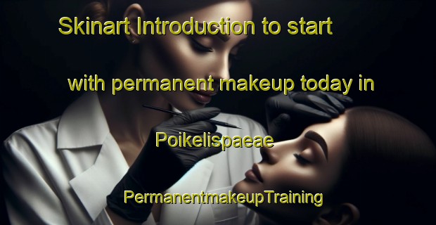 Skinart Introduction to start with permanent makeup today in Poikelispaeae | PermanentmakeupTraining | PermanentmakeupClasses | SkinartTraining-Finland