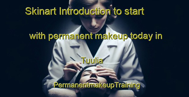 Skinart Introduction to start with permanent makeup today in Tuulia | PermanentmakeupTraining | PermanentmakeupClasses | SkinartTraining-Finland
