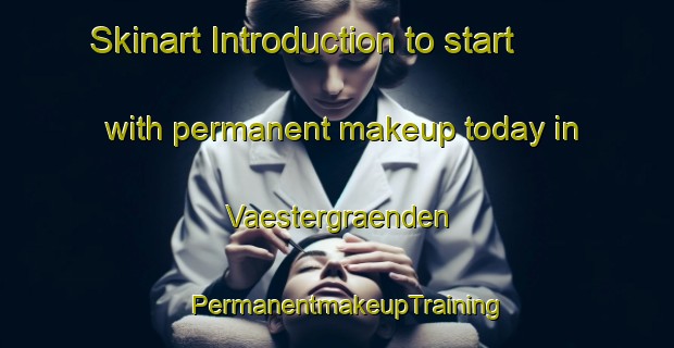 Skinart Introduction to start with permanent makeup today in Vaestergraenden | PermanentmakeupTraining | PermanentmakeupClasses | SkinartTraining-Finland