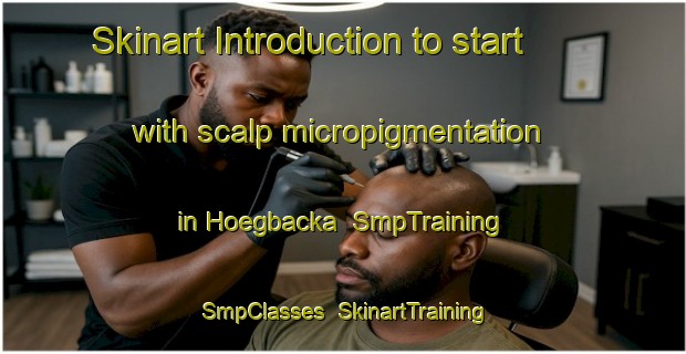 Skinart Introduction to start with scalp micropigmentation in Hoegbacka | SmpTraining | SmpClasses | SkinartTraining-Finland