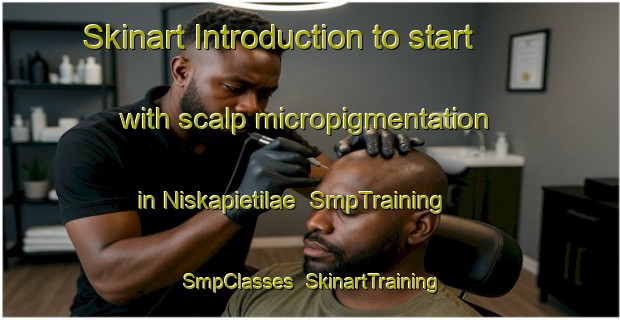 Skinart Introduction to start with scalp micropigmentation in Niskapietilae | SmpTraining | SmpClasses | SkinartTraining-Finland