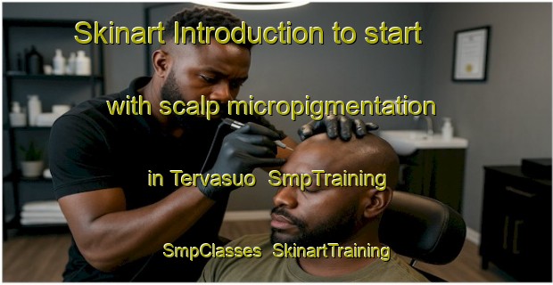 Skinart Introduction to start with scalp micropigmentation in Tervasuo | SmpTraining | SmpClasses | SkinartTraining-Finland
