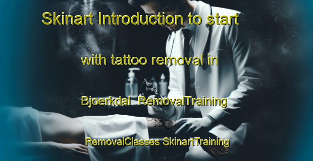 Skinart Introduction to start with tattoo removal in Bjoerkdal | #RemovalTraining #RemovalClasses #SkinartTraining-Finland