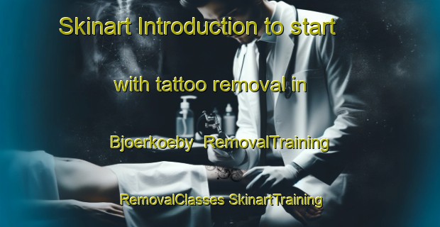 Skinart Introduction to start with tattoo removal in Bjoerkoeby | #RemovalTraining #RemovalClasses #SkinartTraining-Finland