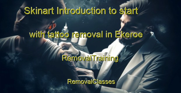 Skinart Introduction to start with tattoo removal in Ekeroe | RemovalTraining | RemovalClasses | SkinartTraining-Finland
