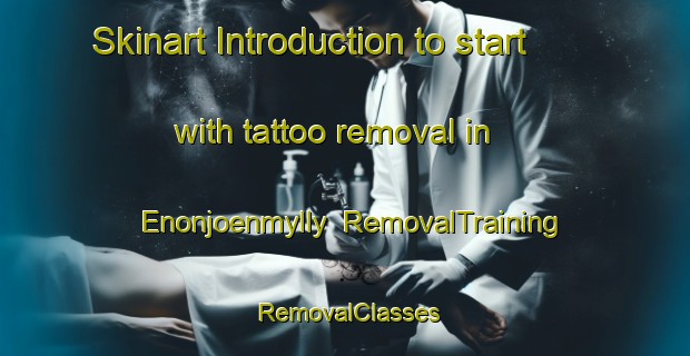 Skinart Introduction to start with tattoo removal in Enonjoenmylly | RemovalTraining | RemovalClasses | SkinartTraining-Finland
