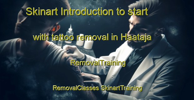 Skinart Introduction to start with tattoo removal in Haataja | #RemovalTraining #RemovalClasses #SkinartTraining-Finland