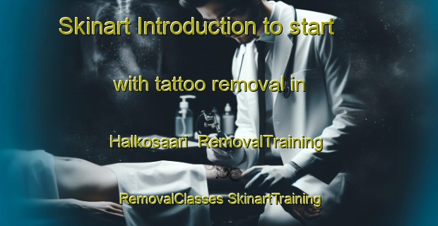 Skinart Introduction to start with tattoo removal in Halkosaari | #RemovalTraining #RemovalClasses #SkinartTraining-Finland