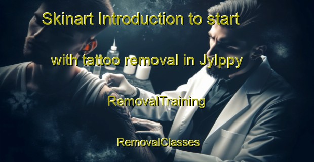 Skinart Introduction to start with tattoo removal in Jylppy | RemovalTraining | RemovalClasses | SkinartTraining-Finland