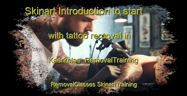 Skinart Introduction to start with tattoo removal in Kaerkelae | #RemovalTraining #RemovalClasses #SkinartTraining-Finland