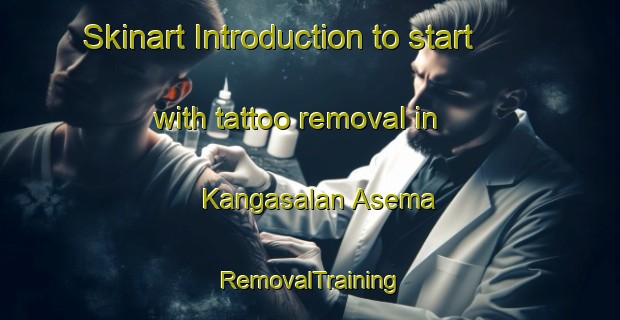 Skinart Introduction to start with tattoo removal in Kangasalan Asema | RemovalTraining | RemovalClasses | SkinartTraining-Finland