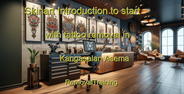 Skinart Introduction to start with tattoo removal in Kangasalan Asema | RemovalTraining | RemovalClasses | SkinartTraining-Finland