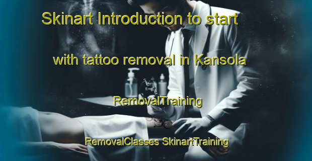 Skinart Introduction to start with tattoo removal in Kansola | #RemovalTraining #RemovalClasses #SkinartTraining-Finland