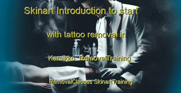 Skinart Introduction to start with tattoo removal in Karsikko | #RemovalTraining #RemovalClasses #SkinartTraining-Finland