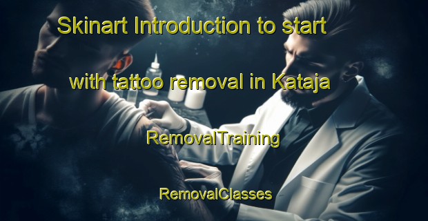 Skinart Introduction to start with tattoo removal in Kataja | RemovalTraining | RemovalClasses | SkinartTraining-Finland