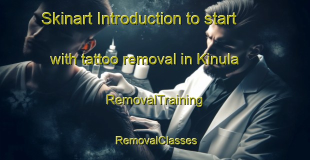Skinart Introduction to start with tattoo removal in Kinula | RemovalTraining | RemovalClasses | SkinartTraining-Finland
