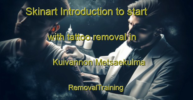 Skinart Introduction to start with tattoo removal in Kuivannon Metsaekulma | RemovalTraining | RemovalClasses | SkinartTraining-Finland