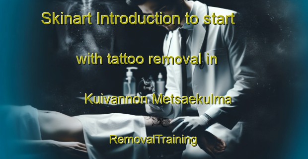 Skinart Introduction to start with tattoo removal in Kuivannon Metsaekulma | RemovalTraining | RemovalClasses | SkinartTraining-Finland