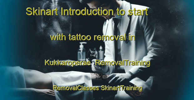 Skinart Introduction to start with tattoo removal in Kukkaroperae | #RemovalTraining #RemovalClasses #SkinartTraining-Finland