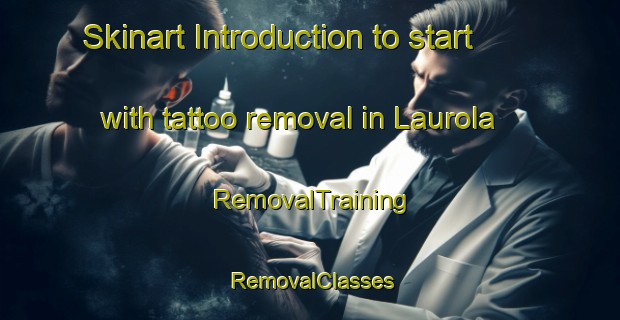Skinart Introduction to start with tattoo removal in Laurola | RemovalTraining | RemovalClasses | SkinartTraining-Finland