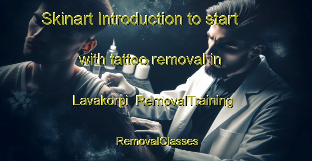 Skinart Introduction to start with tattoo removal in Lavakorpi | RemovalTraining | RemovalClasses | SkinartTraining-Finland