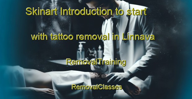 Skinart Introduction to start with tattoo removal in Linnava | RemovalTraining | RemovalClasses | SkinartTraining-Finland