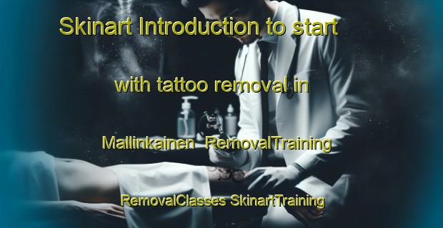 Skinart Introduction to start with tattoo removal in Mallinkainen | #RemovalTraining #RemovalClasses #SkinartTraining-Finland