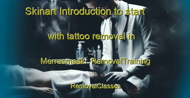 Skinart Introduction to start with tattoo removal in Merrasmaeki | RemovalTraining | RemovalClasses | SkinartTraining-Finland