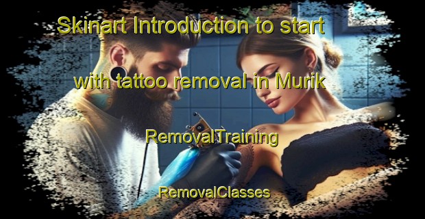Skinart Introduction to start with tattoo removal in Murik | RemovalTraining | RemovalClasses | SkinartTraining-Finland