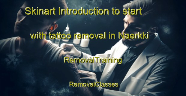 Skinart Introduction to start with tattoo removal in Naerkki | RemovalTraining | RemovalClasses | SkinartTraining-Finland