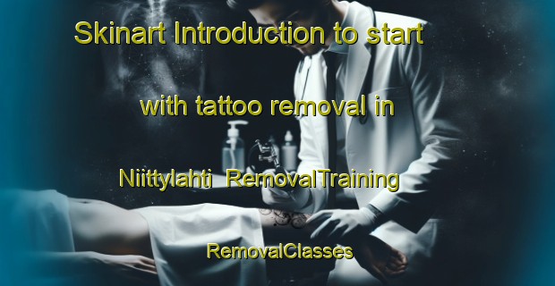 Skinart Introduction to start with tattoo removal in Niittylahti | RemovalTraining | RemovalClasses | SkinartTraining-Finland